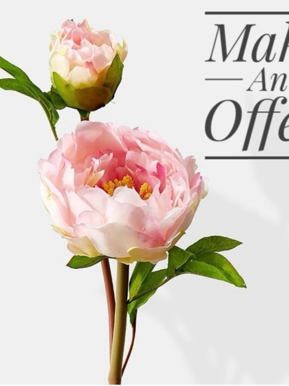 Make me an offer
